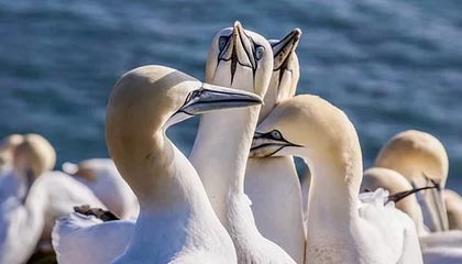 DB视讯百家乐因爱结缘，履行社会责任，特别的爱给特别的你！