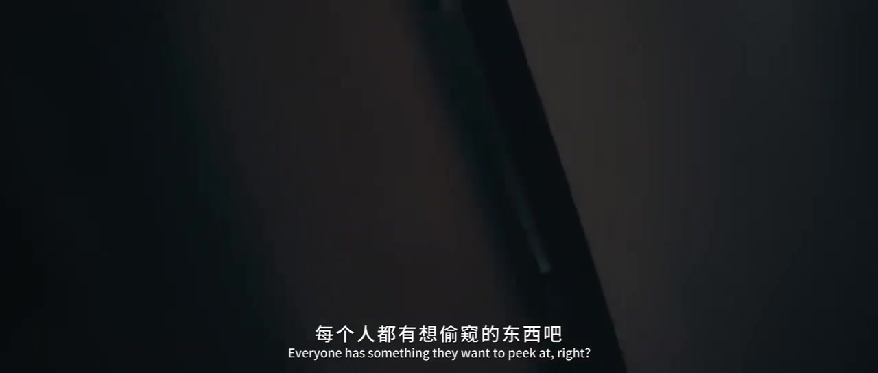 DB官网在线登录入口引导犯罪？以偷窥女性为主要内容的真人互动游戏《监寓》上架Steam